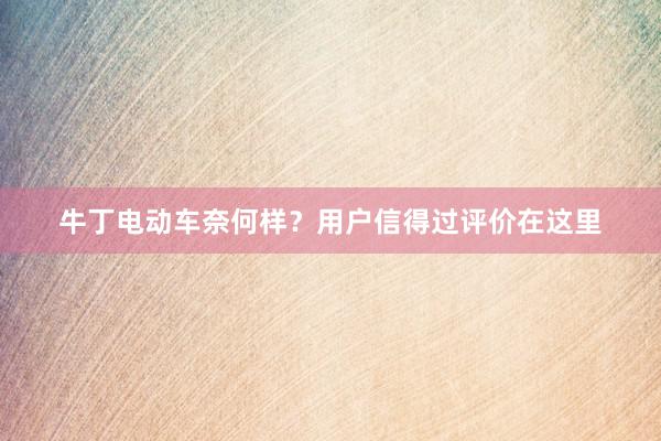 牛丁电动车奈何样？用户信得过评价在这里
