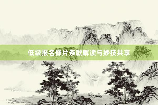 低级报名像片条款解读与妙技共享