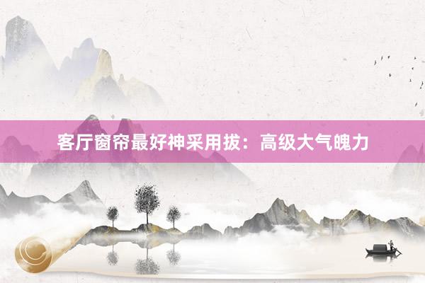 客厅窗帘最好神采用拔：高级大气魄力