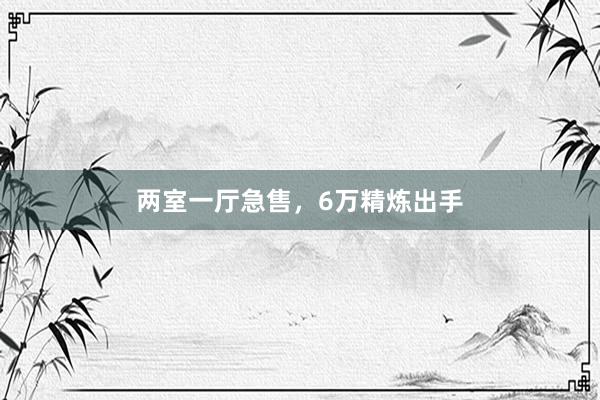 两室一厅急售，6万精炼出手