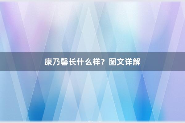 康乃馨长什么样？图文详解